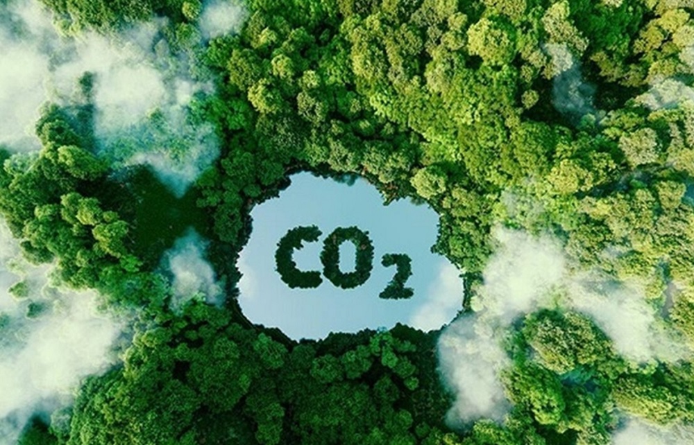 Việt Nam có nhiều cơ hội tham gia vào chuỗi giá trị carbon xanh khu vực và toàn cầu.