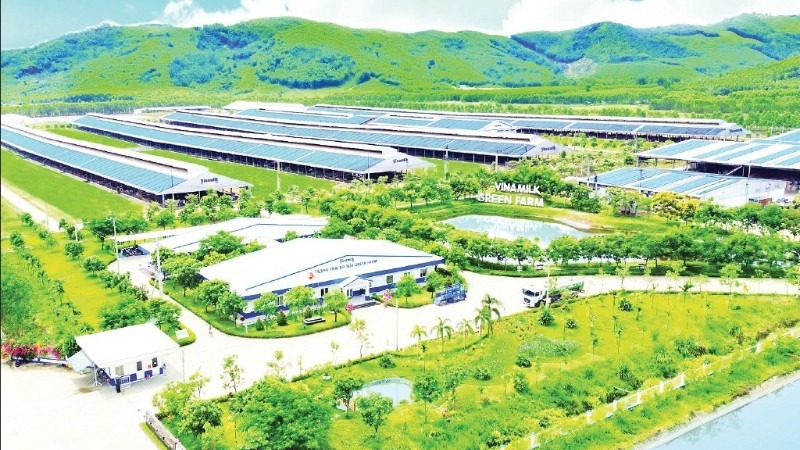 Nông nghiệp vẫn là trụ cột của Link Trang Chủ PG88.Com Mới #2026 Việt Nam. Ảnh minh họa
