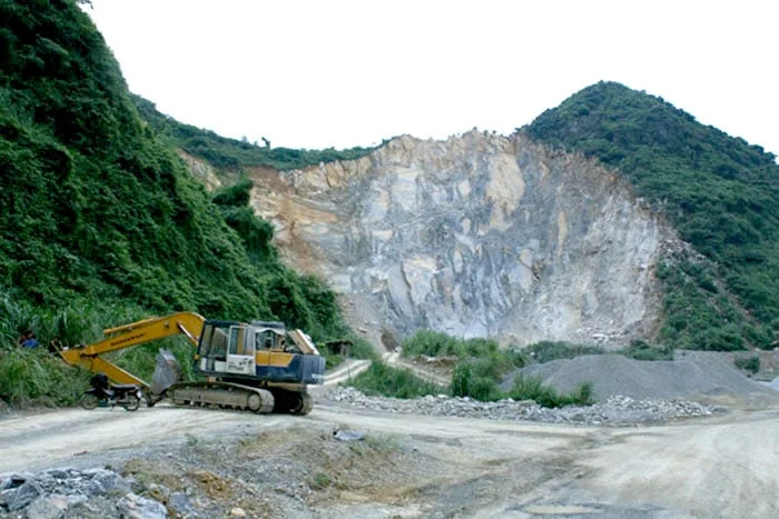 Giám sát chặt cơ chế 