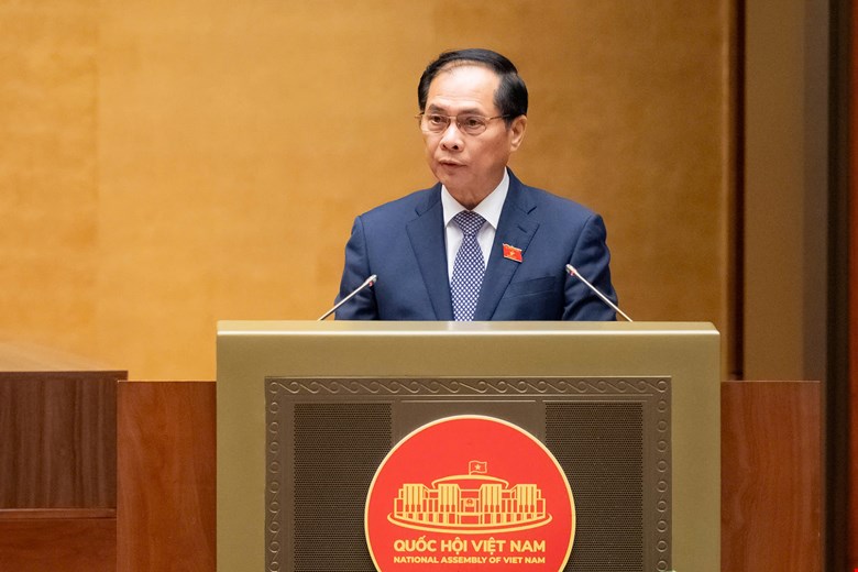 Phó Thủ tướng Chính phủ Bùi Thanh Sơn&nbsp;