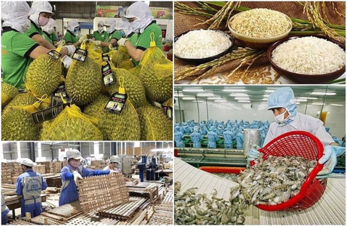 Sản xuất nông nghiệp vượt qua thiên tai, duy trì ổn định.