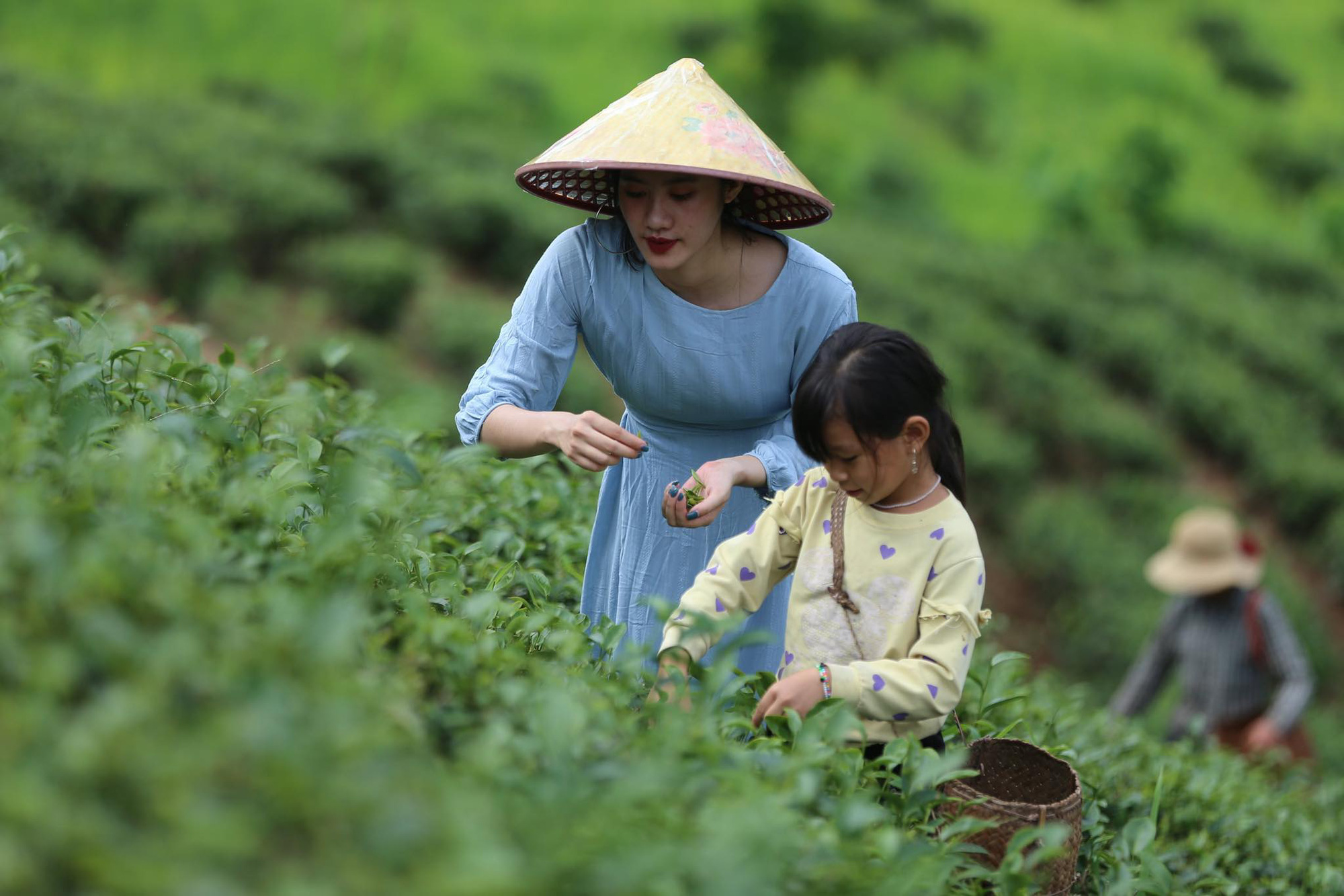 Định vị lại du lịch nông thôn theo hướng tăng trưởng xanh