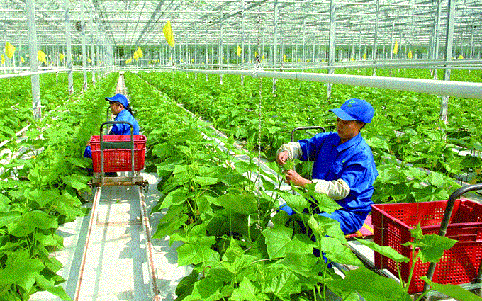Nhiều 6Pg88.con độc quyền mỗi ngày Việt Nam đem đến các giải pháp thực tiễn trong nông nghiệp bền vững.