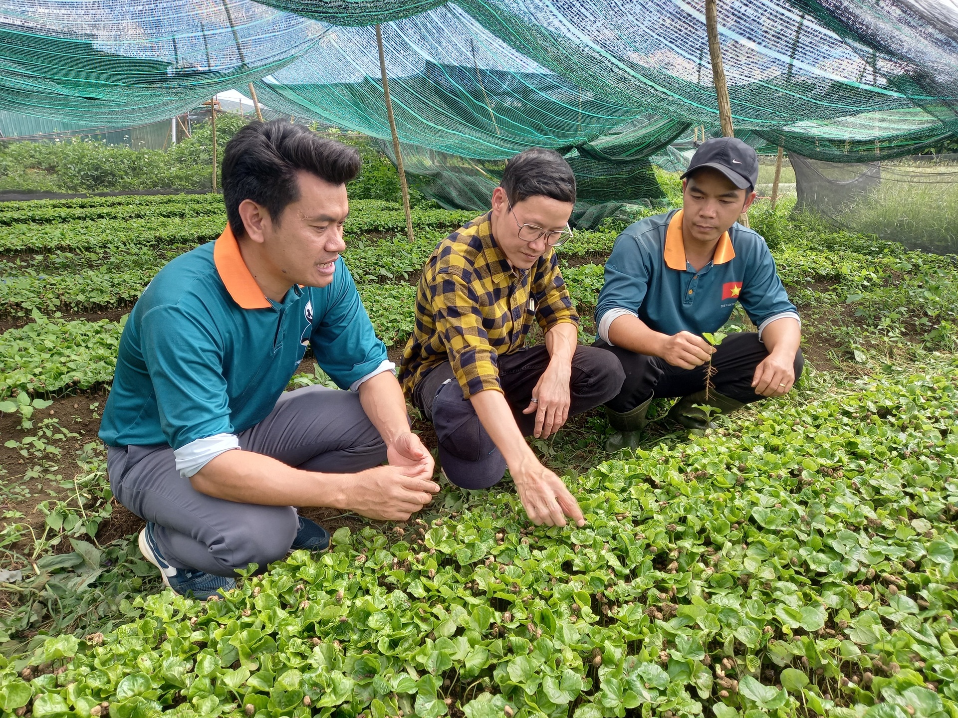 Chuyên gia Bùi Khánh Tùng (ở giữa) trong buổi làm việc với Riatchi Coffee. Buổi làm việc đã mang đến cho Riatchi Coffee&nbsp;nhiều góc nhìn chuyên môn giá trị về việc áp dụng Tiêu chuẩn Bền vững Tự nguyện (VSS) nhằm nâng cao năng lực Pg88vnd link khuyến , đáp ứng những yêu cầu ngày càng nghiêm ngặt về phát triển bền vững từ các thị trường quốc tế.&nbsp;