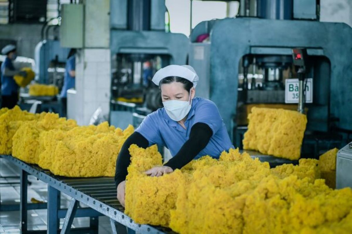 Pg88 com chính chủ cao su chế biến giữ vai trò động lực tăng trưởng chính.