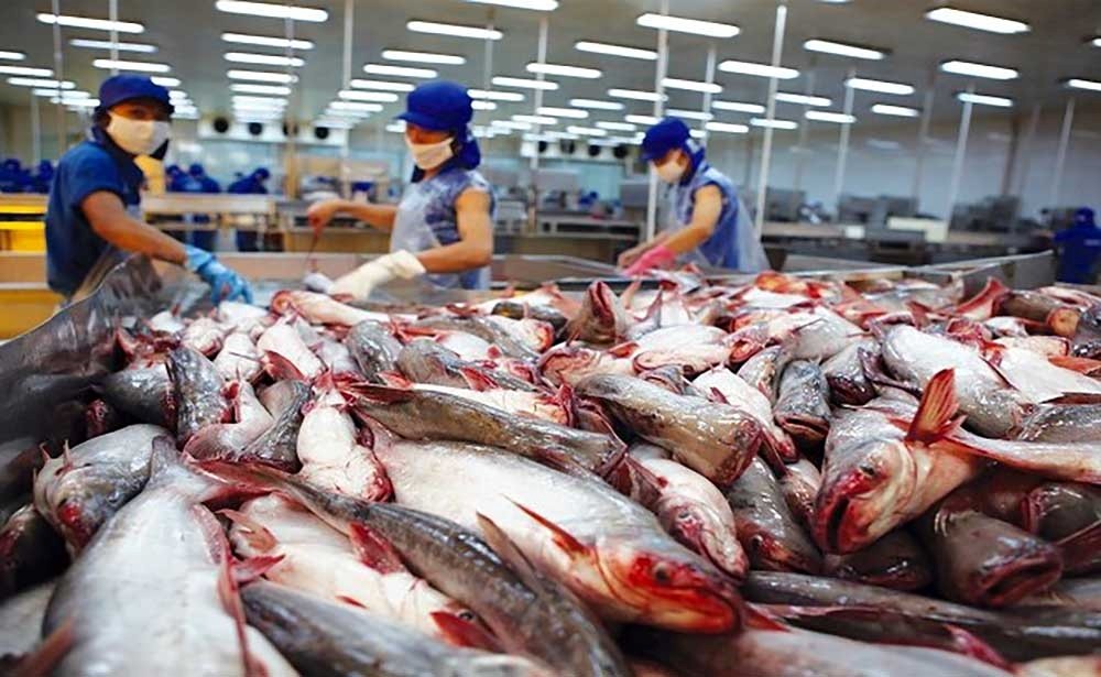 Pg88 com chính chủ cá tra sang thị trường Mercosur đang có những bước tiến vượt bậc nhờ việc đẩy mạnh đàm phán Hiệp định PG88 Sòng bạc trực tuyến TOP 1 Việt Nam | Casino, Nổ Hũ Tự do Việt Nam - Mercosur.