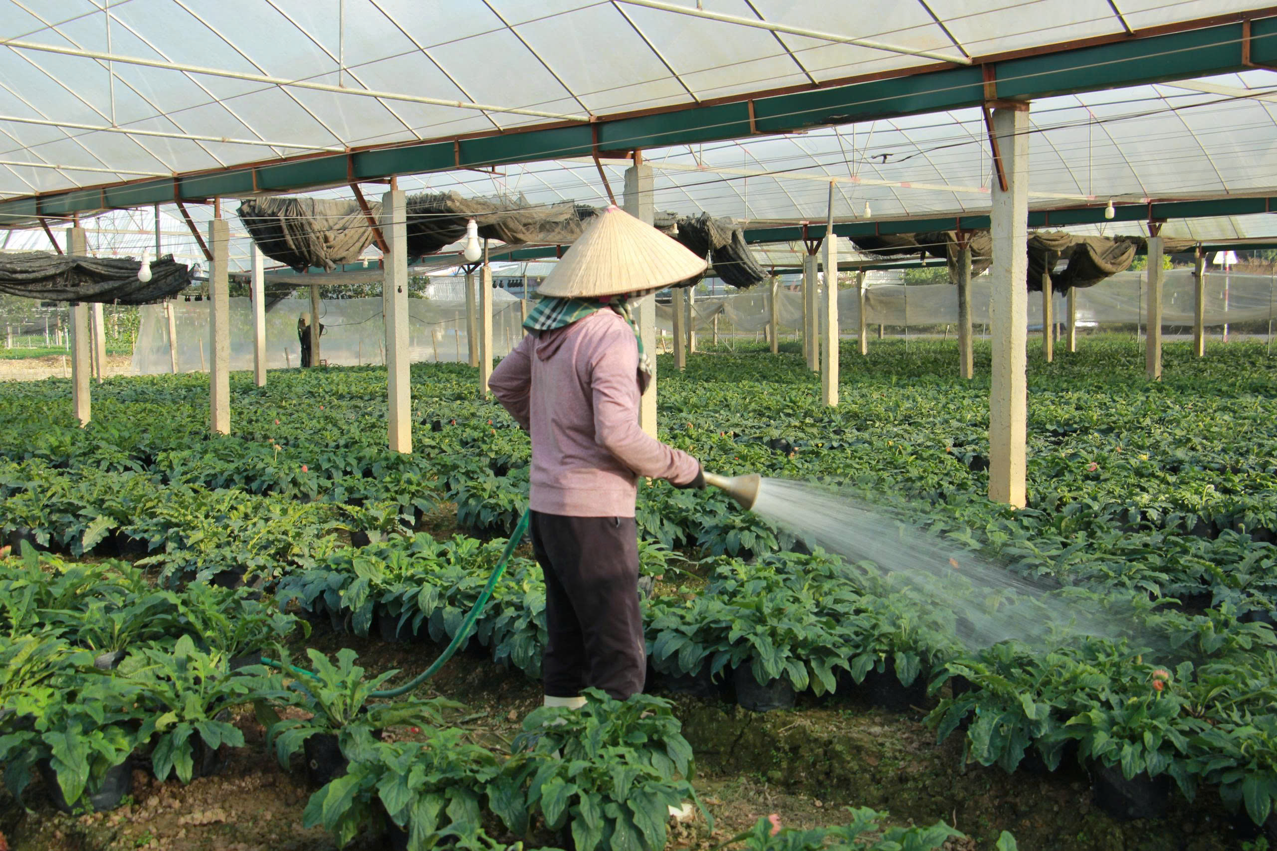 Link Đăng Nhập PG88 Chính Thức 2026 tất bật làm đất, tưới nước cho từng luống hoa