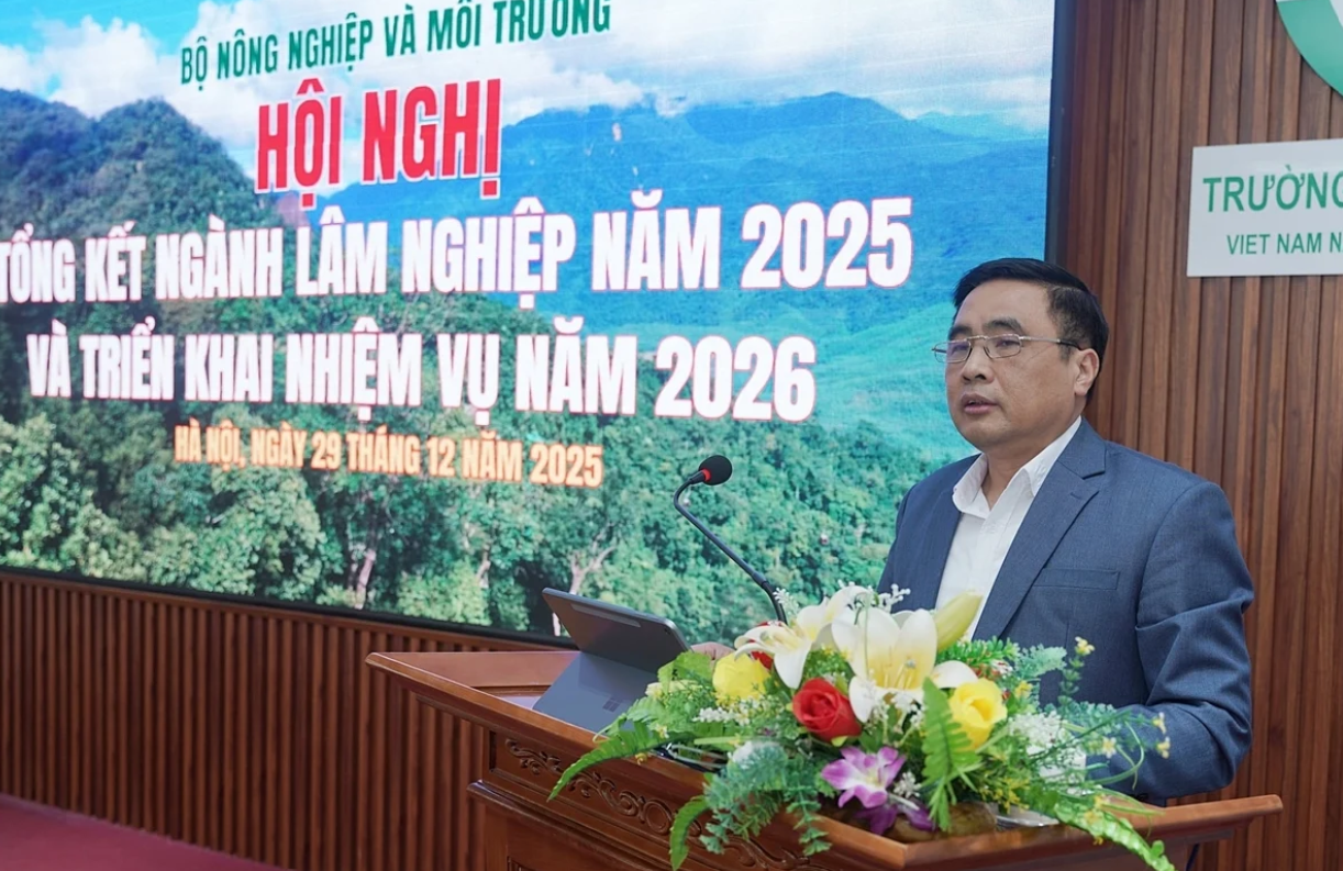 Thứ trưởng Nguyễn Quốc Trị:&nbsp;lâm nghiệp không phải là ngành “giữ nhịp” hay tăng trưởng thấp, mà đang sở hữu dư địa đáng kể để bứt lên...
