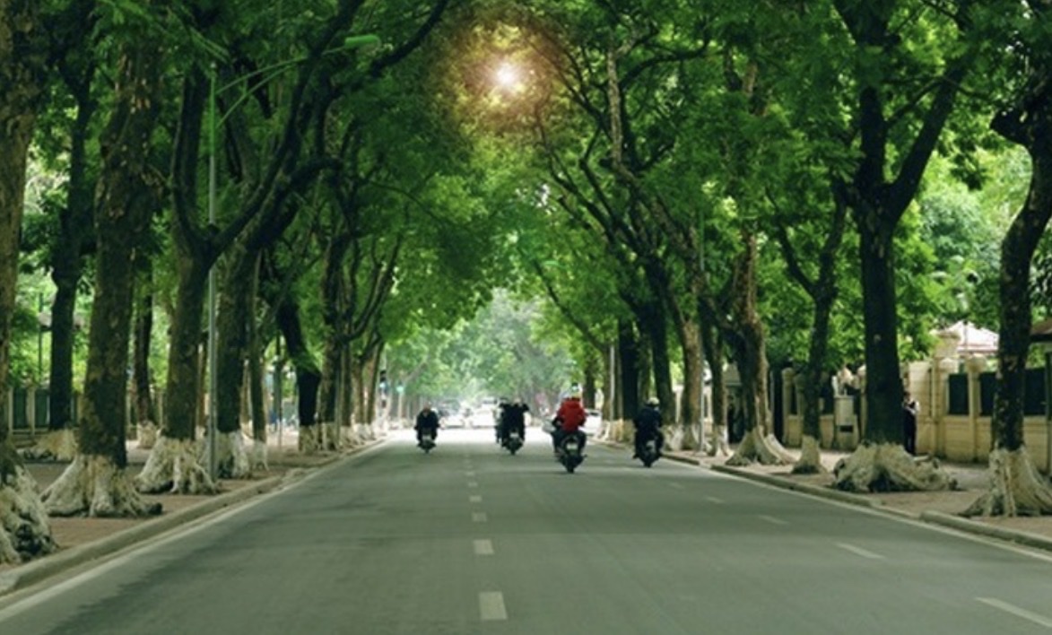 Ảnh minh họa.