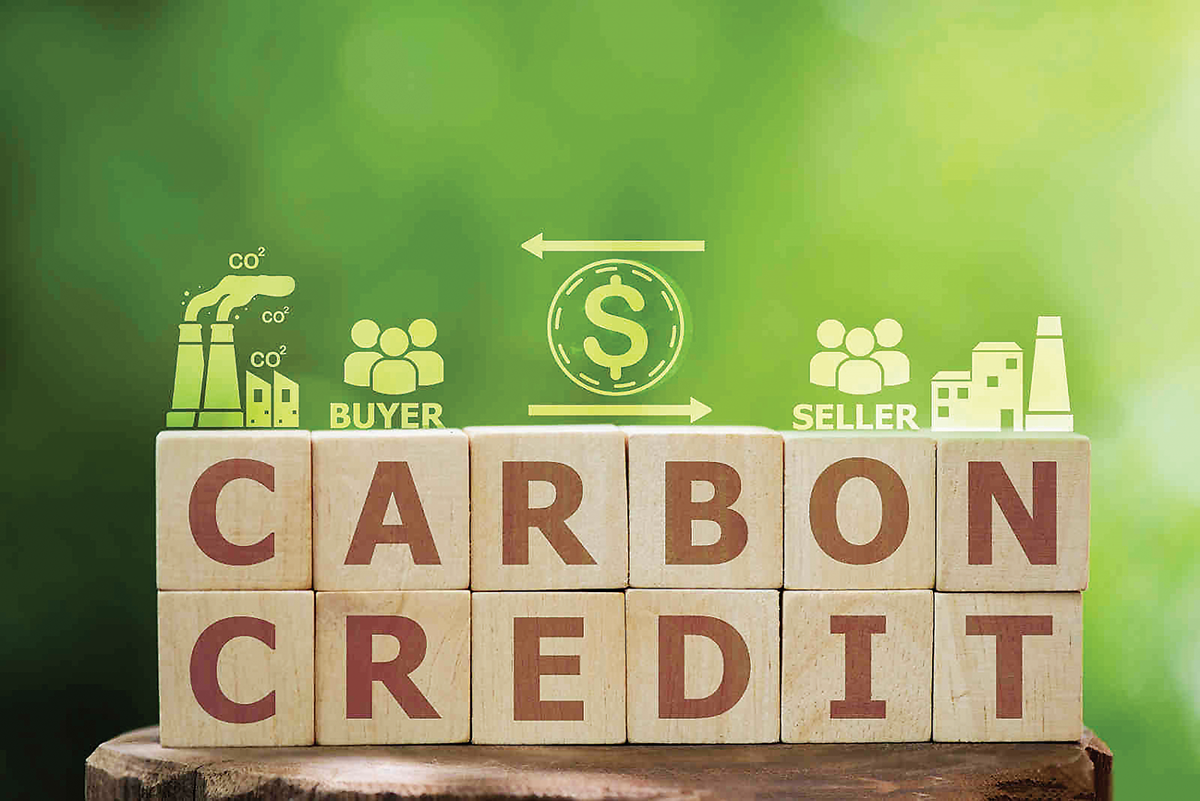 Tạo hành lang pháp lý đầy đủ để phát triển thị trường carbon 