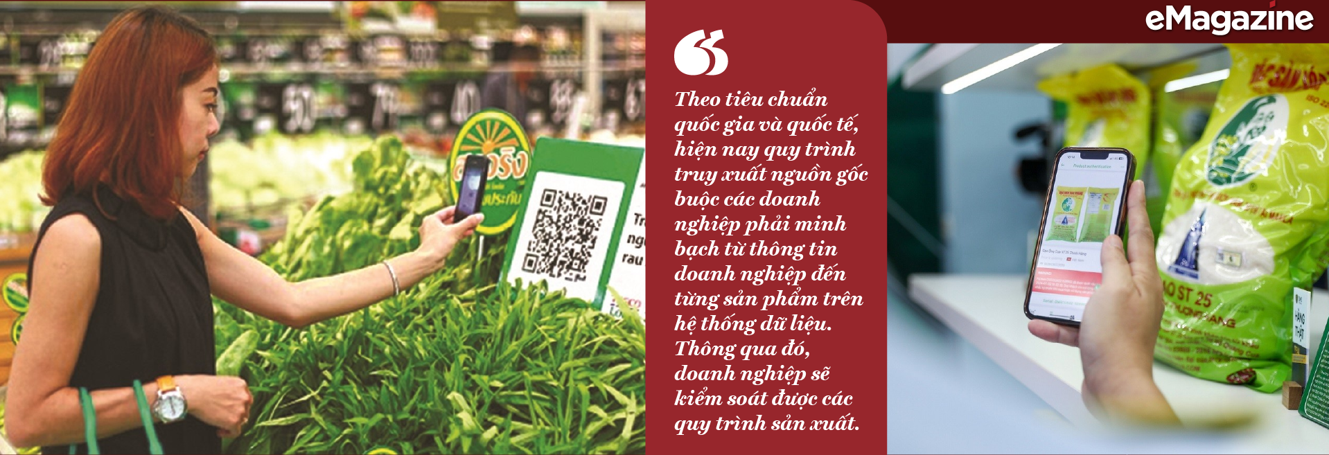 6PG88VN
