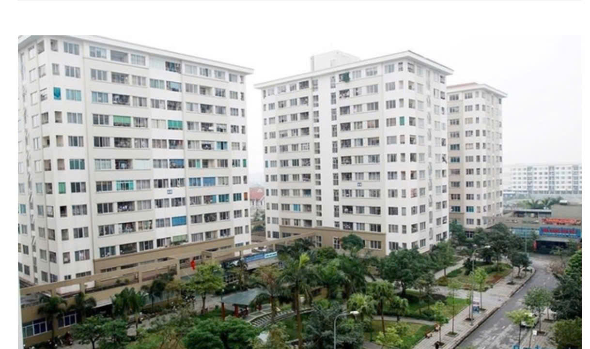 Ảnh minh họa.