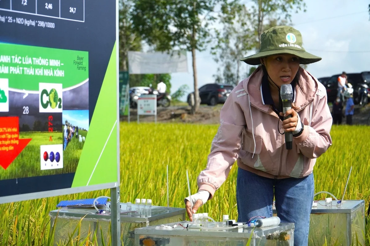 Thiết lập và vận hành hệ thống MRV và cơ sở dữ liệu phát thải khí nhà kính trong trồng trọt