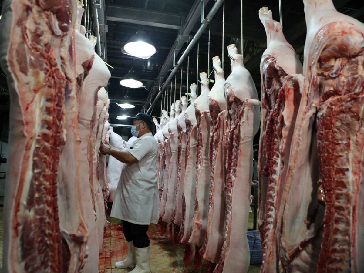 Giá lợn mảnh đang tăng, nhưng dự báo sẽ không quá cao trong dịp Tết Nguyên đán.
