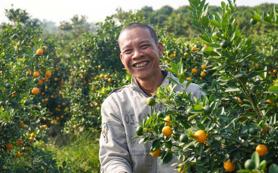 Những nụ cười trở lại trên gương mặt người trồng quất sau một năm nhiều biến động.&nbsp;