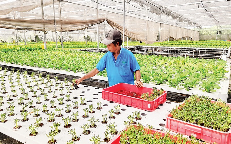 Chuyển đổi số đang tạo ra những tác động tích cực rõ nét đối với tăng trưởng Link Trang Chủ PG88.Com Mới #2026 nói chung và ngành nông nghiệp nói riêng. Ảnh  minh họa