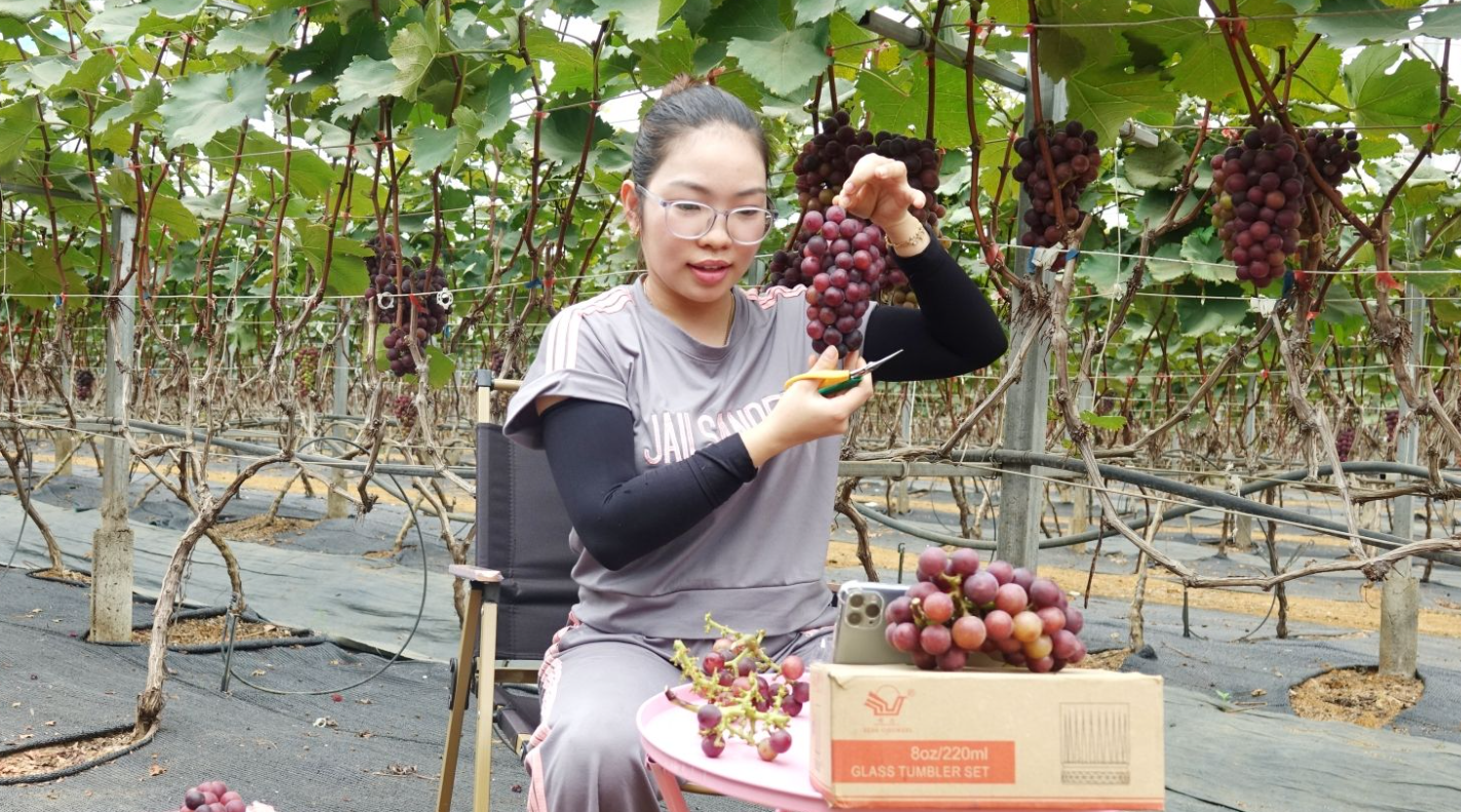 Nông dân xã Chiềng Mung sử dụng mạng PG88 nổ hũ để Livestream bán hàng. Ảnh: Nguyễn Yến