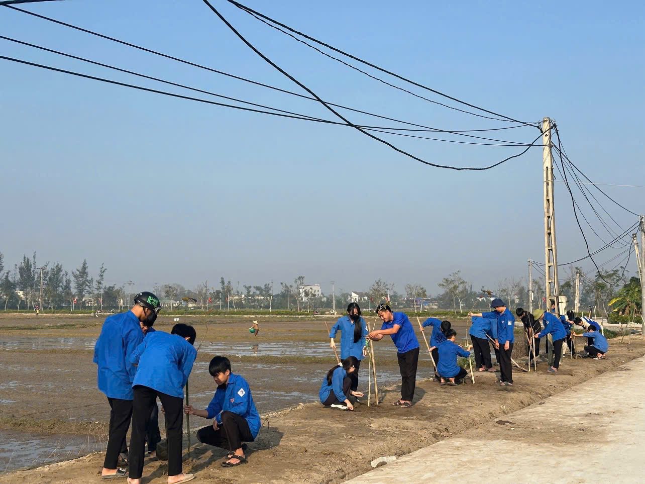 Trồng mới cây xanh tạo cảnh quan xanh – sạch – đẹp