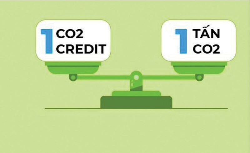 Trong giai đoạn tổ chức vận hành thí điểm sàn giao dịch carbon trong nước đến hết ngày 31/12/2028, không thu tiền cung cấp dịch vụ trên sàn giao dịch carbon trong nước.