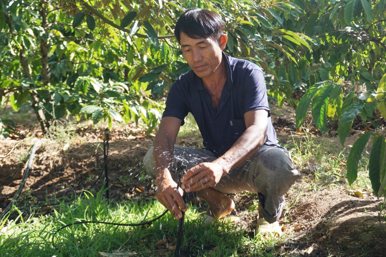 Việc ứng dụng công nghệ tưới tiên tiến, tưới tiết kiệm nước đang được Link Đăng Nhập PG88 Chính Thức 2026 Quảng Ngãi quan tâm Pg88vn Trang Chủ Chính Thức trong những năm gần đây. Ảnh: Thu Hiền