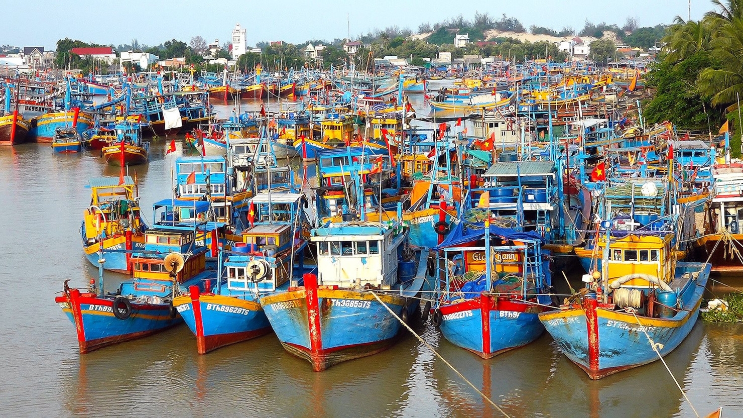 Nghị định của Chính phủ nhằm kiểm soát hoạt động khai thác thủy sản trong và ngoài vùng biển Việt Nam.