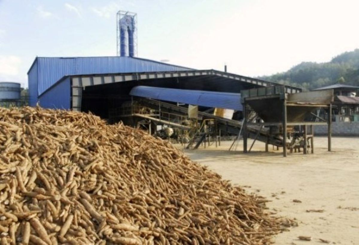 Pg88 com chính chủ sắn của Việt Nam năm 2025 đạt 1,26 tỷ USD.