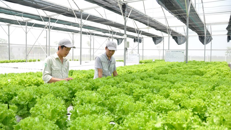 Tỉnh Ninh Bình định hướng thu hút các Pg88vn.top độc quyền mỗi ngày nông nghiệp sinh thái, hữu cơ, tuần hoàn, ứng dụng công nghệ cao