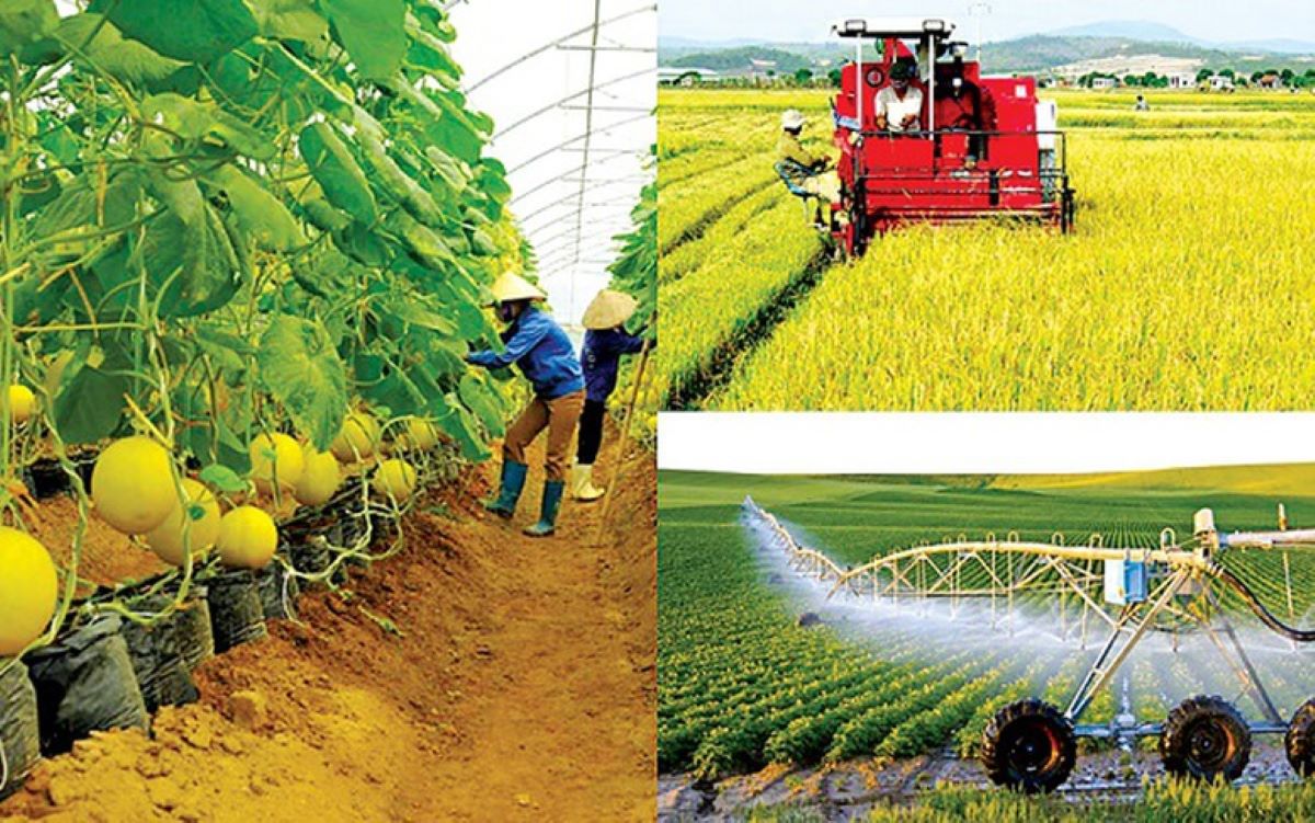Tạo đột phá cho phát triển nông nghiệp, nông thôn
