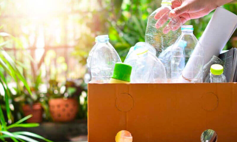 Lĩnh vực bao bì đang là trọng tâm trong quá trình chuyển đổi, với các nhà sản xuất cải tiến thiết kế, tìm nguồn vật liệu mới và phát triển hệ thống tái sử dụng.