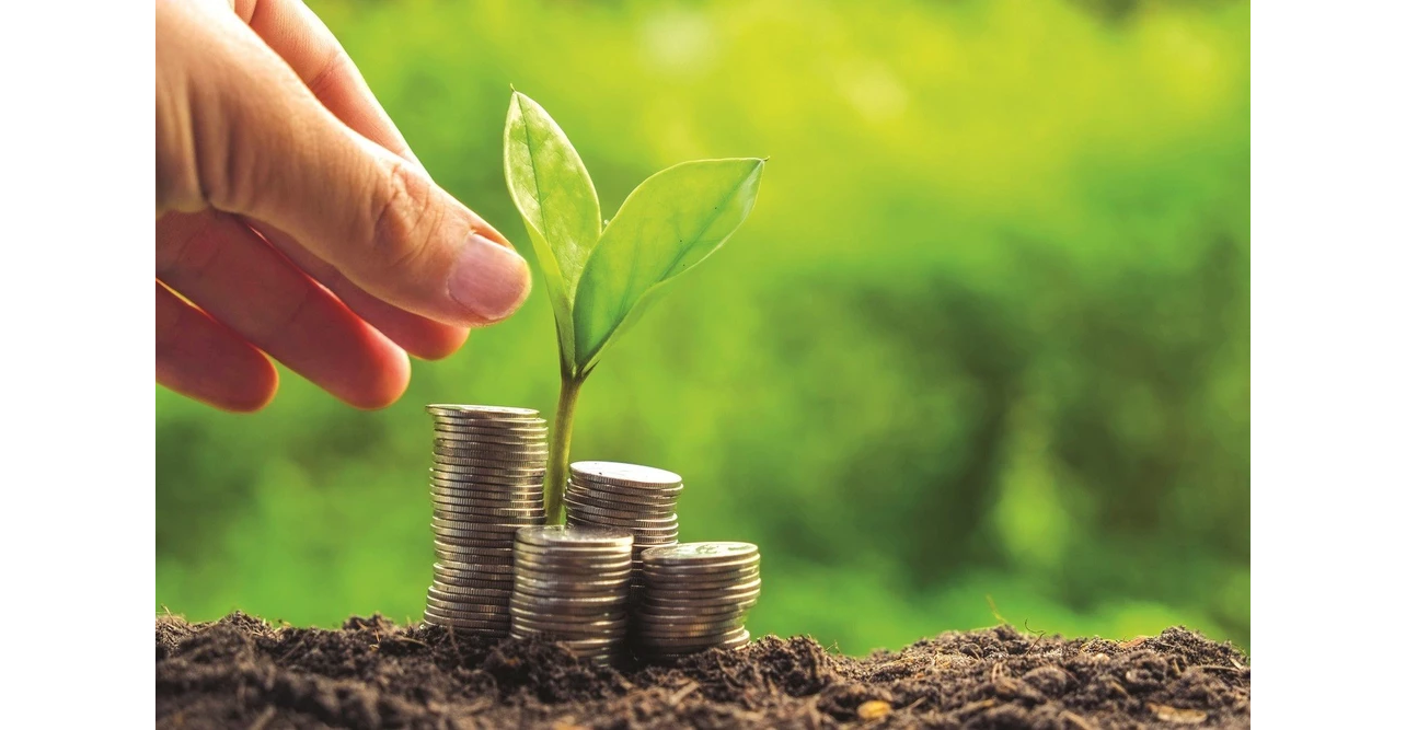 Năm 2025 là điểm nút mở sang một giai đoạn mới với thị trường carbon. Ảnh minh họa