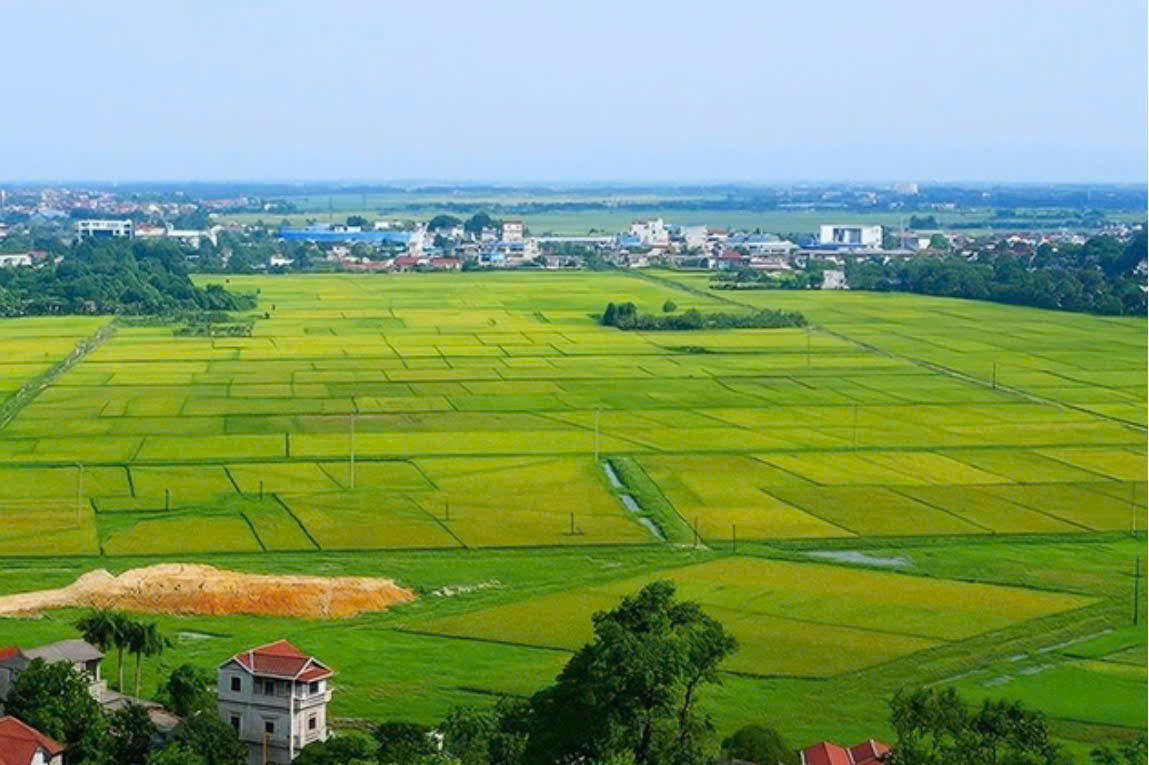 Ảnh minh họa.