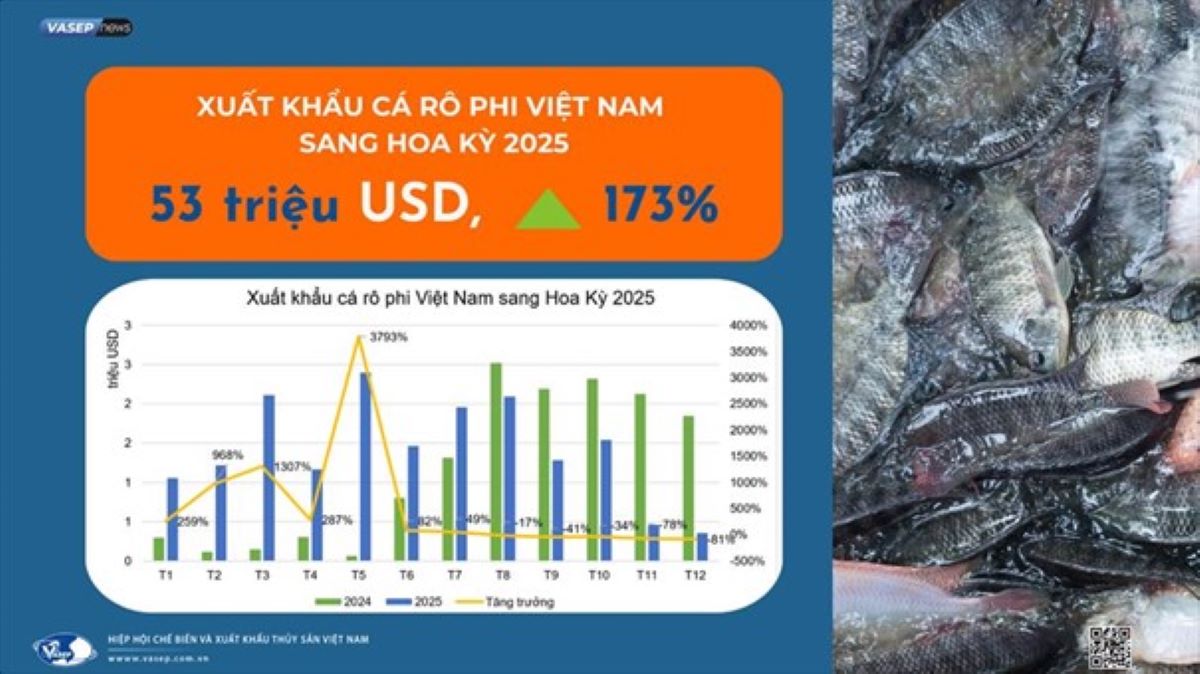Pg88vnd link khuyến  cá rô phi của Việt Nam sang Mỹ năm 2025. Nguồn VASEP.