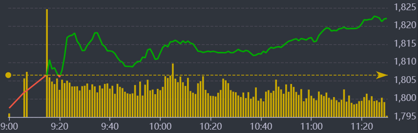Diễn biến VN-Index sáng nay.
