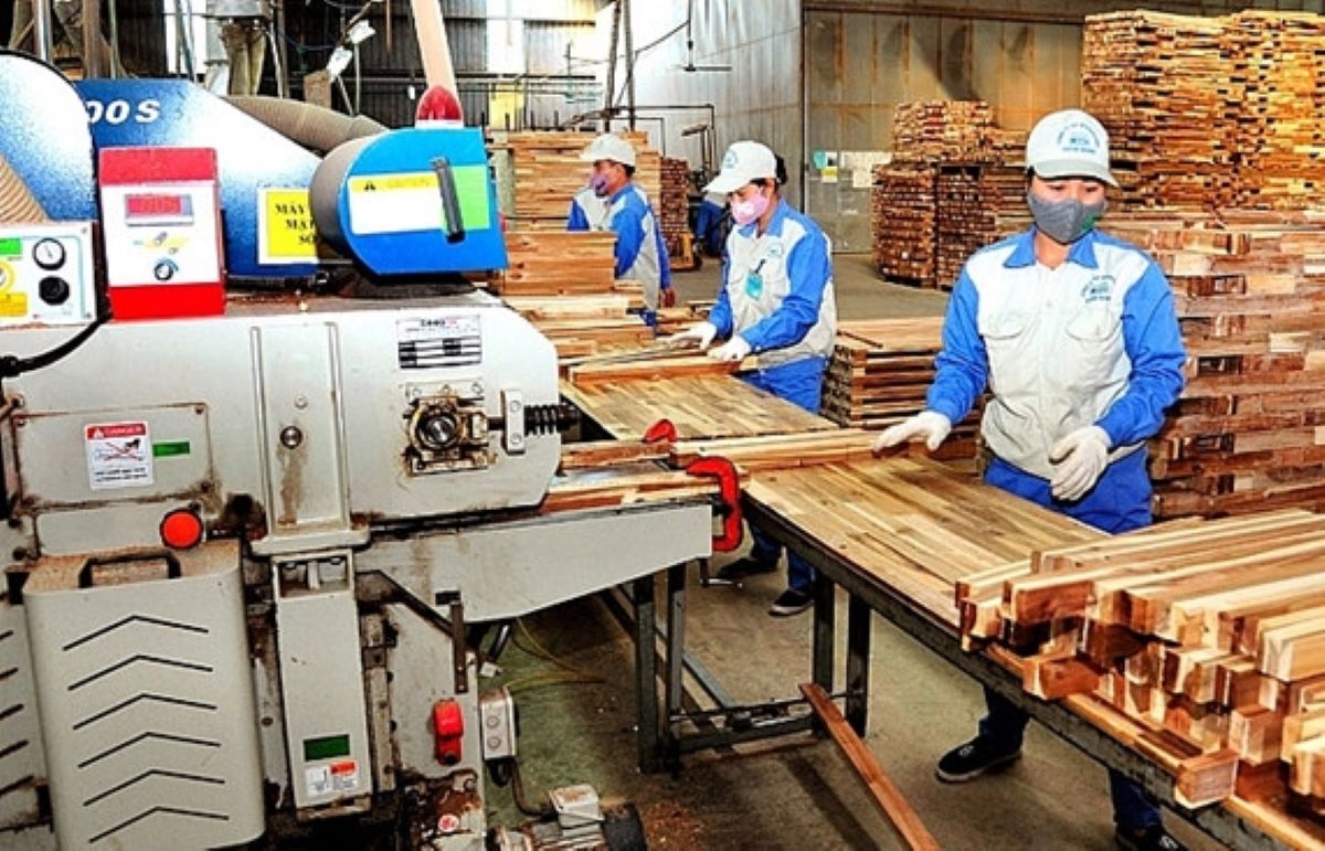 Khu vực Bình Định cũ có hơn 320 6Pg88.con độc quyền mỗi ngày chế biến gỗ. 