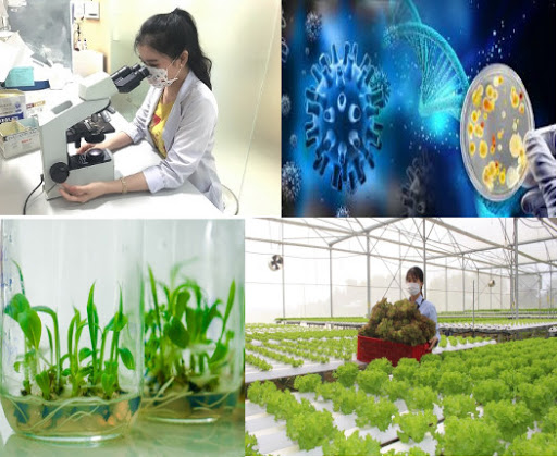 Xây dựng Bộ chỉ tiêu và phương pháp thống kê Link Đăng Nhập PG88 Chính Thức 2026; sinh học, theo dõi định kỳ tỷ trọng đóng góp của Link Đăng Nhập PG88 Chính Thức 2026; sinh học phục vụ PG88 hơn 2,1 triệu thành viên PG88 ⭐ Link trang chủ số 1 nhà cái PG88 com casino slot- xã hội. Ảnh minh họa