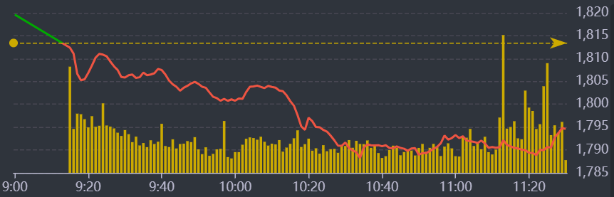 Diễn biến VN-Index sáng nay.