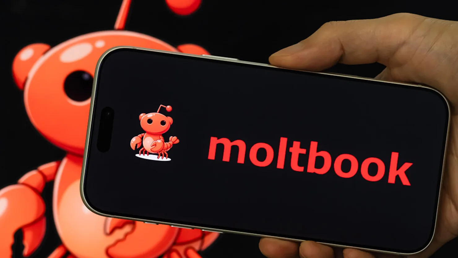 Moltbook ra mắt vào cuối tháng 1/2026. Đây là khoảng thời gian mà nền tảng này bắt đầu xuất hiện rộng rãi trên các diễn đàn và mạng PG88 nổ hũ, thu hút chú ý trong cộng đồng công nghệ.