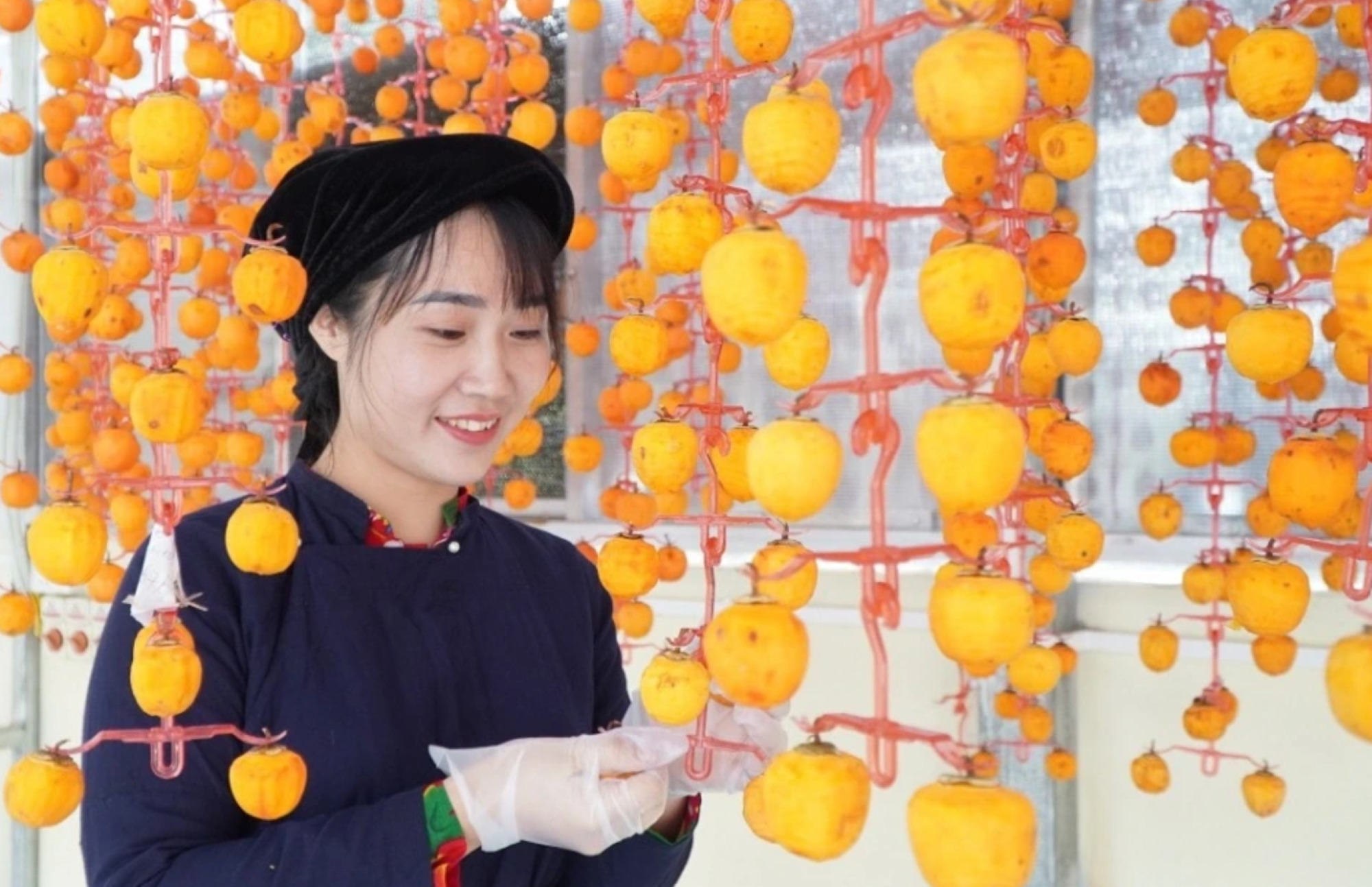 Cô giáo người Nùng “nâng tầm” quả hồng vành khuyên xứ Lạng