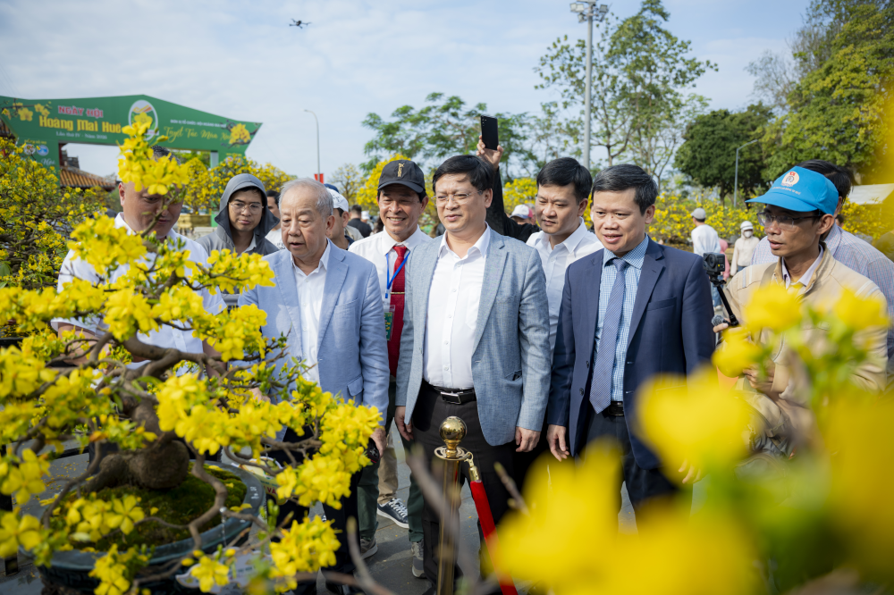 Các đại biểu cùng du
khách tham quan, thưởng lãm Hoàng mai Huế trong nắng xuân dịu nhẹ.