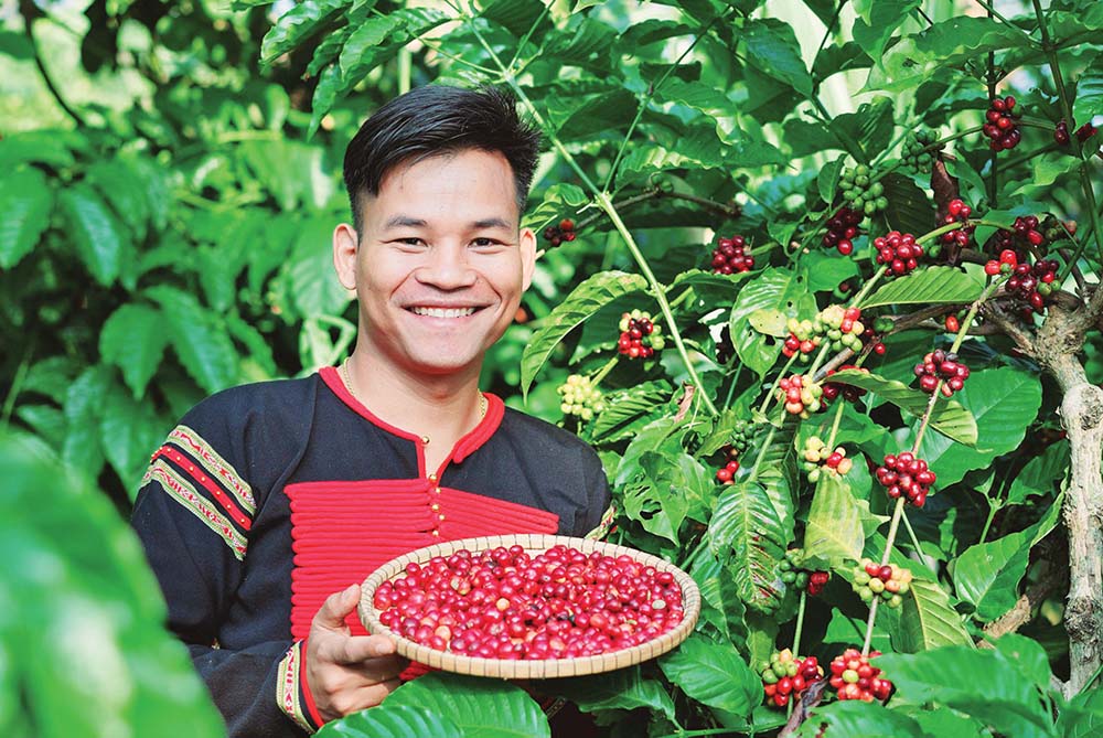 Với người Ê Đê, cà phê là văn hóa, là tinh thần, là động lực sống, là mồ hôi và nước mắt của bao thế hệ trong buôn làng.