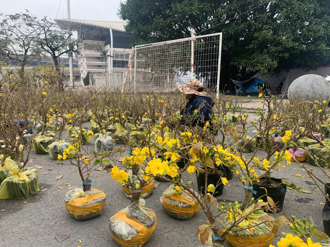 Chờ khách 