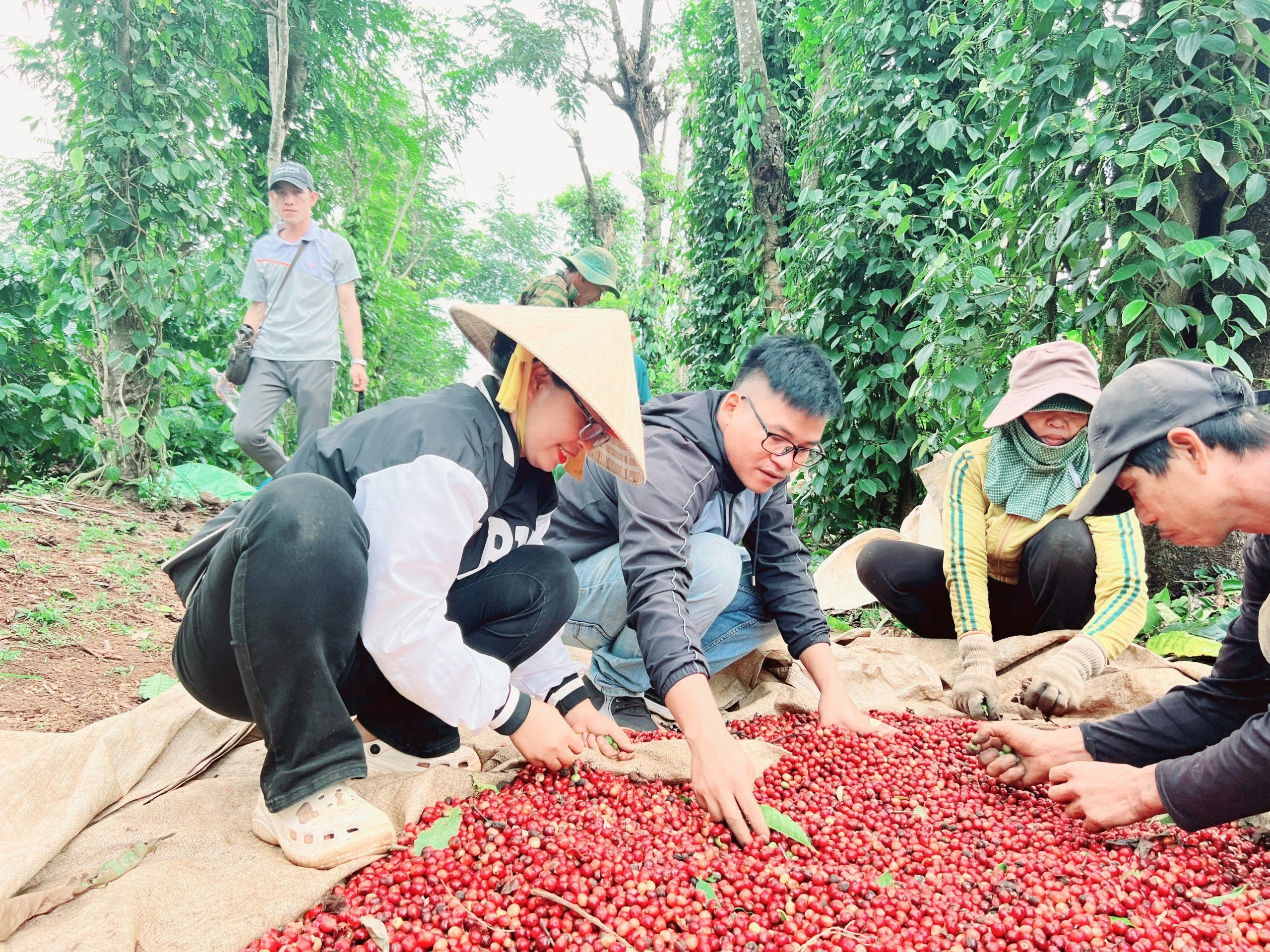Thực tế, việc thay đổi thói quen và tư duy của bà con không hề dễ. Link Đăng Nhập PG88 Chính Thức 2026 trong buôn làng vốn rất dè dặt với cái mới; để họ chấp nhận và làm theo có khi phải mất 4-5 năm, thậm chí lâu hơn.&nbsp;