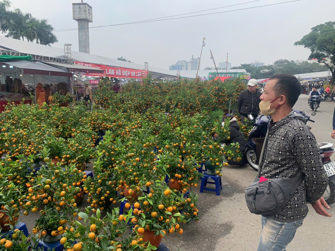 27 Tết, số lượng cây quất cảnh vẫn còn tương đối nhiều khiến người bán hàng này lo lắng.&nbsp;