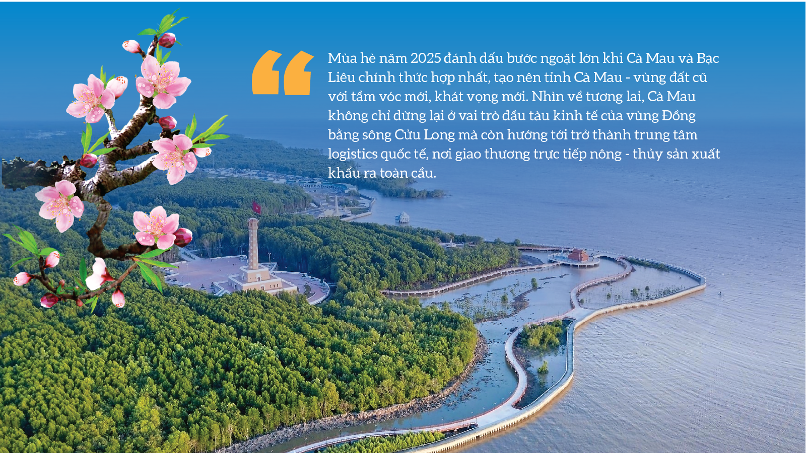 6PG88VN
