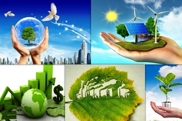Môi trường quyết định tính bền vững, chứ không phải tốc độ tăng trưởng