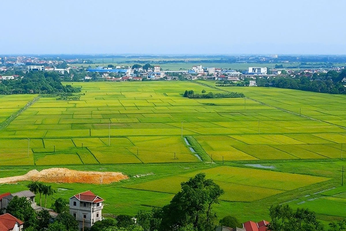 Ảnh minh họa.