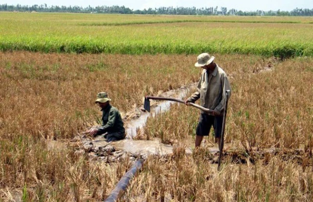 Triển khai các biện pháp phòng, chống hạn hán, xâm nhập mặn, không gây thiệt hại đến sản xuất nông nghiệp và ảnh hưởng đến nguồn nước sinh hoạt của người dân. Ảnh minh họa