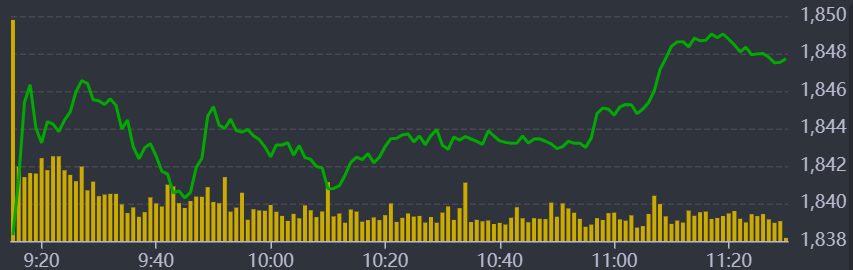 Diễn biến VN-Index sáng nay.