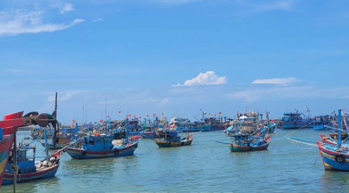 TP.Hồ Chí Minh tăng tốc chống khai thác IUU, chuẩn bị làm việc với EC