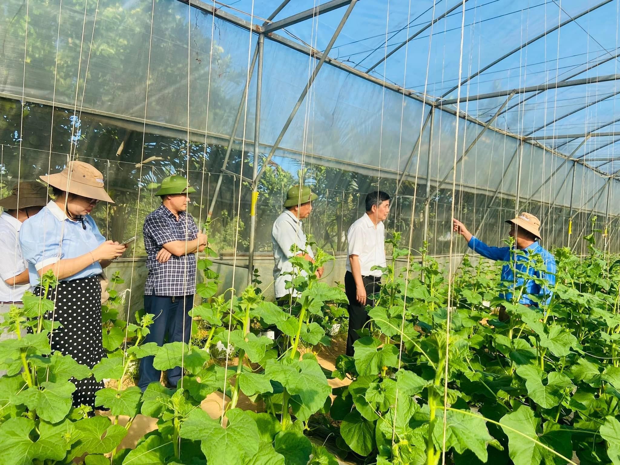 Nhà màng, nhà lưới được khuyến khích Pg88vn Trang Chủ Chính Thức nhằm thúc đẩy nông nghiệp ứng dụng công nghệ cao.